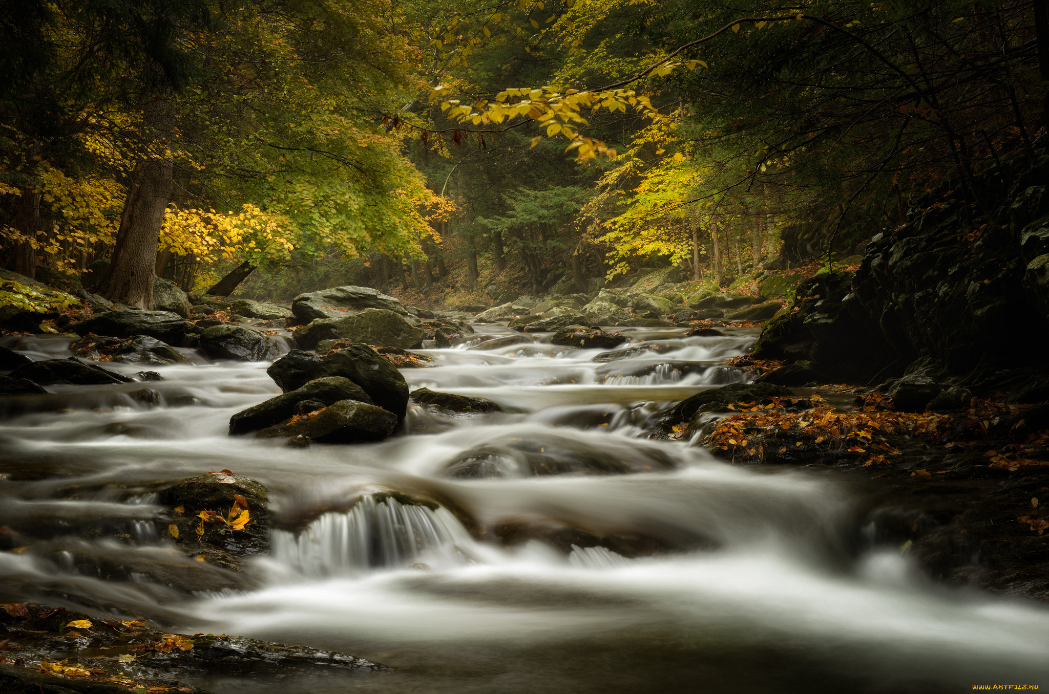 bash, bish, brook, massachusetts, , , , , , , , 